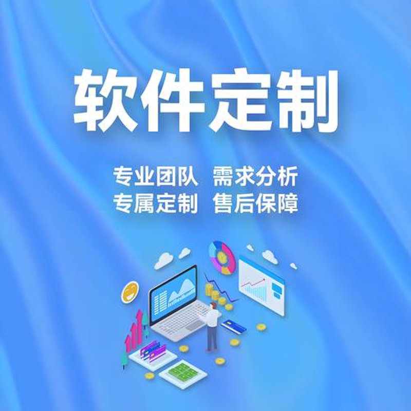 吉林软件开发